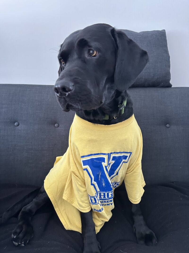 Image for the Tweet beginning: The LU Track &amp; Field